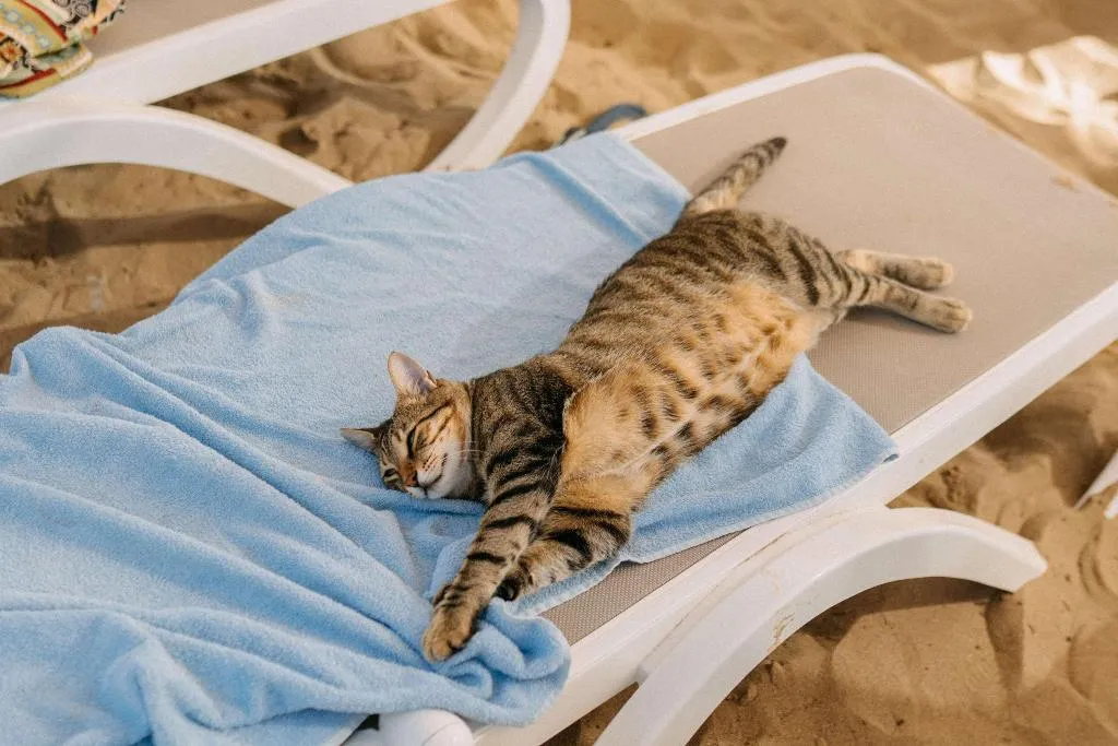 Beach, Castival Hotel, Antalya