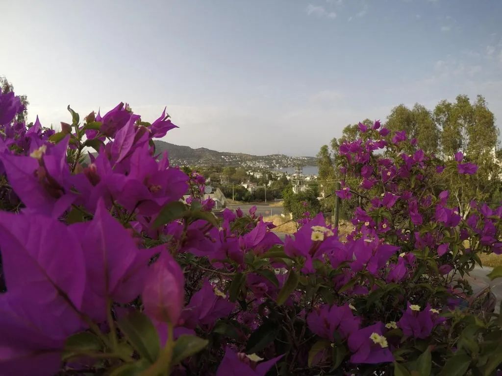 Terrace, Panorama Hotel Bodrum, Bodrum