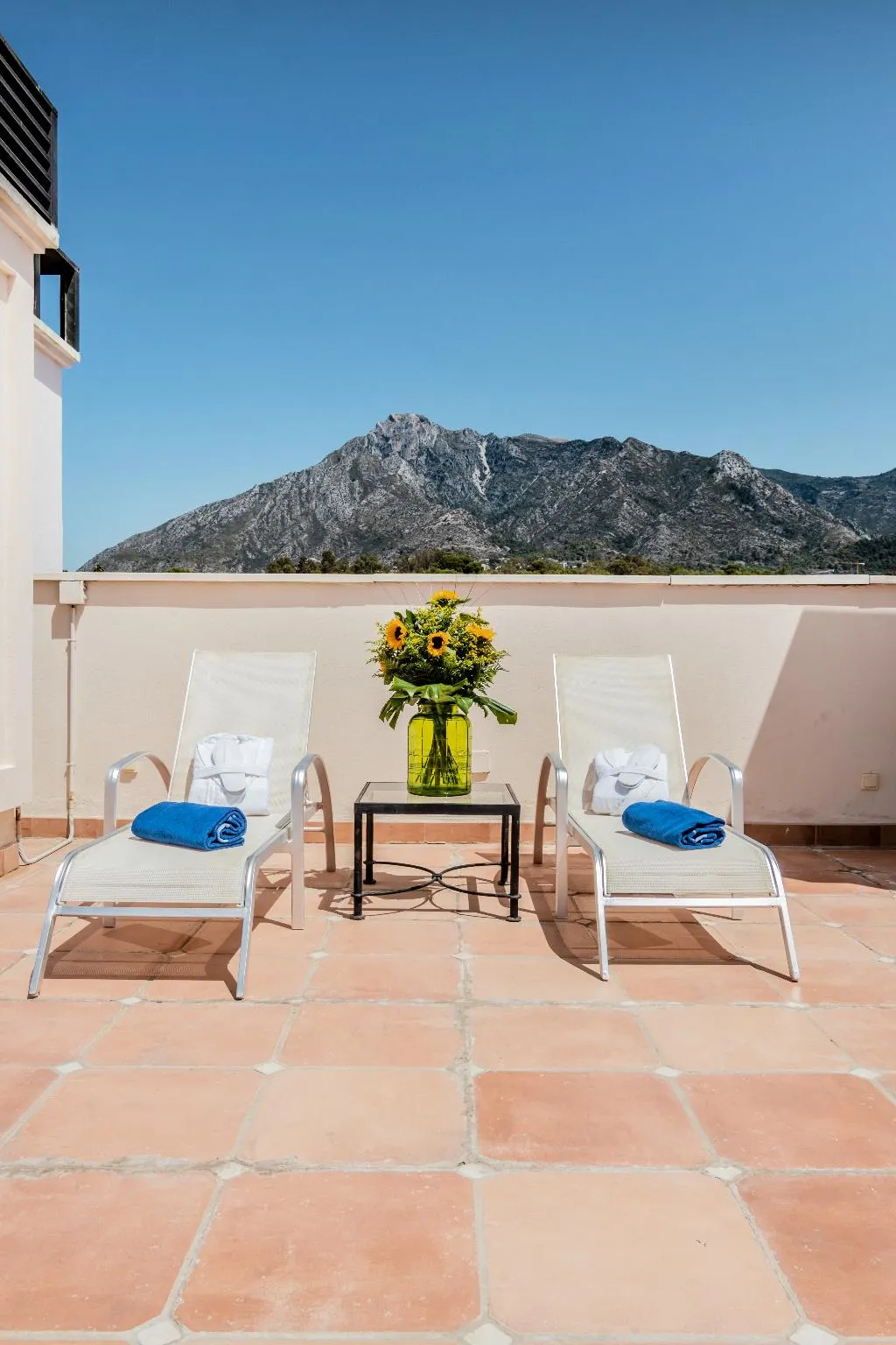 APARTMENT TWO BEDROOMS Room, Guadalpin Suites, Costa Del Sol