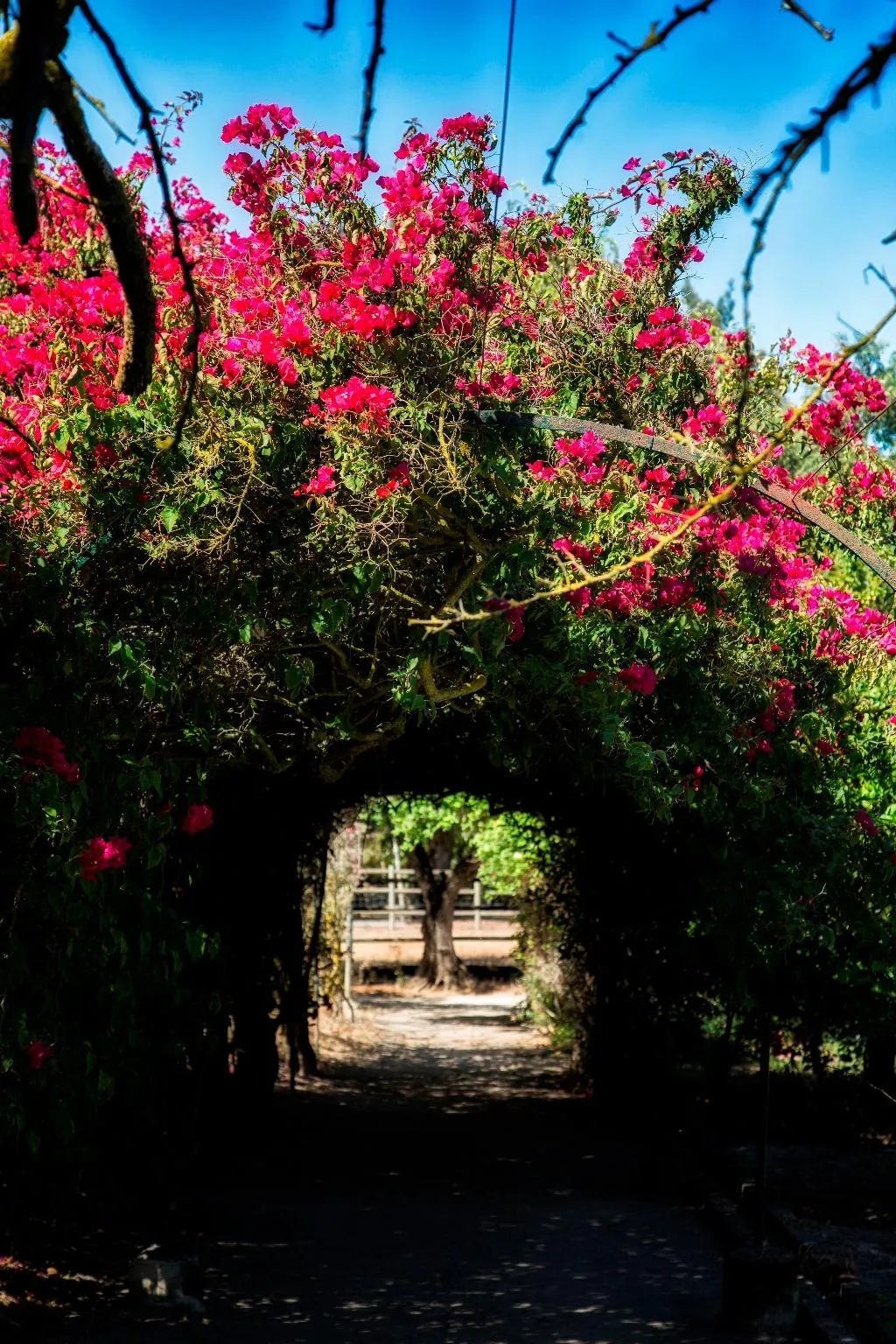 General view, Quinta Da Praia Das Fontes, Lisbon