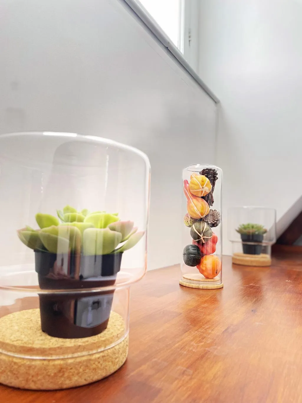 TWIN BASIC Room, Hotel Plantage, Amsterdam