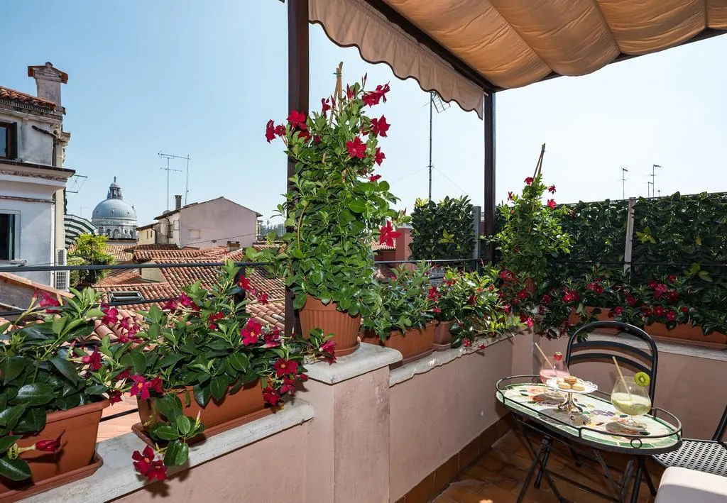 Terrace, dell'Opera, Venice