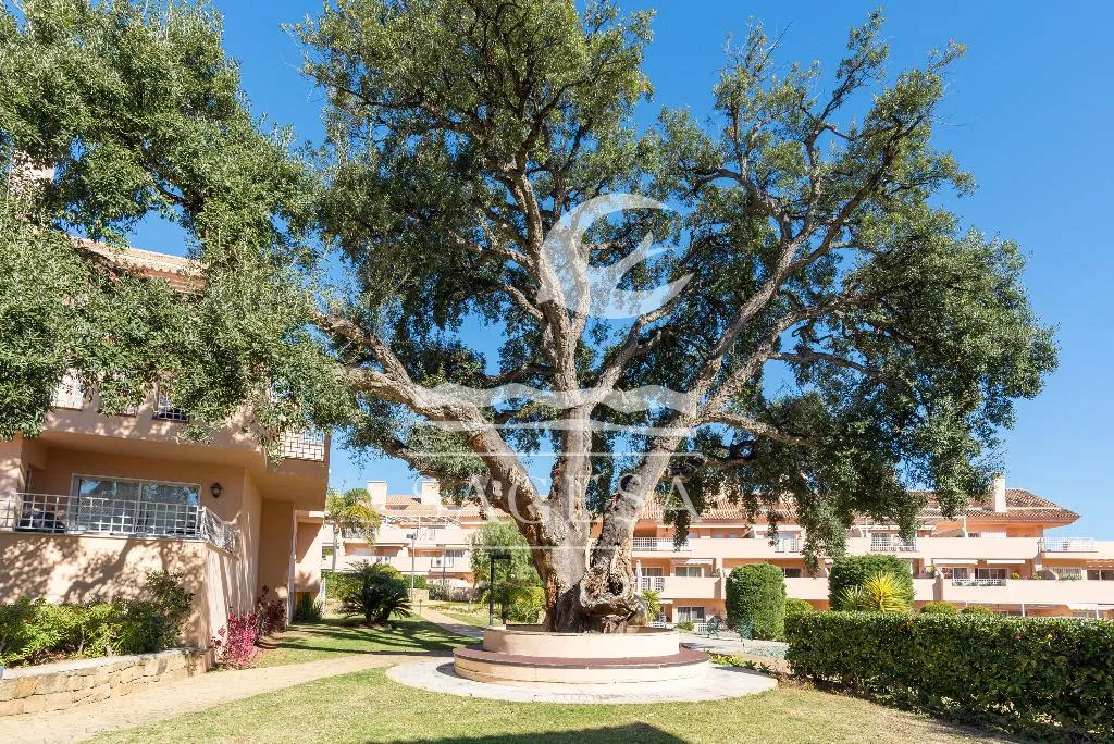 General view, Apartamentos Jardines de Santa Maria Golf, Costa Del Sol