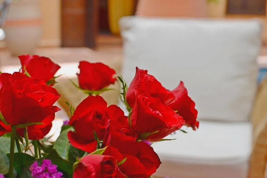 Lobby, Riad Hadda, Marrakech