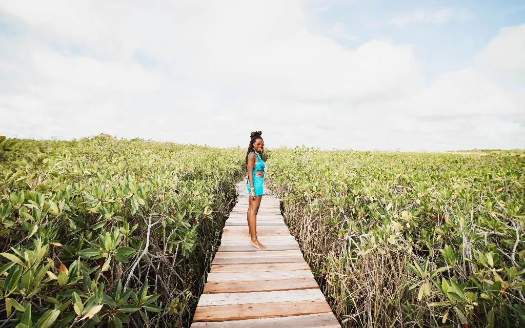 DOUBLE SUPERIOR WITH VIEWS Room, Cormoran Boutique Hotel & Private Cenote Tulum, Cancun Area