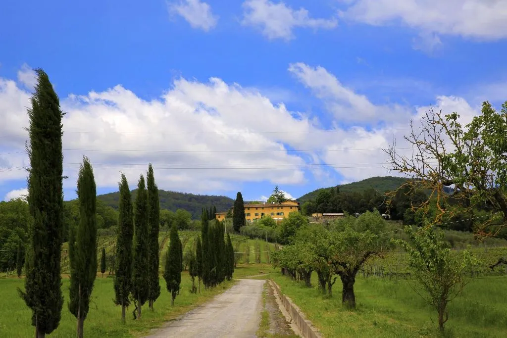 General view, Villa La Palagina, Florence