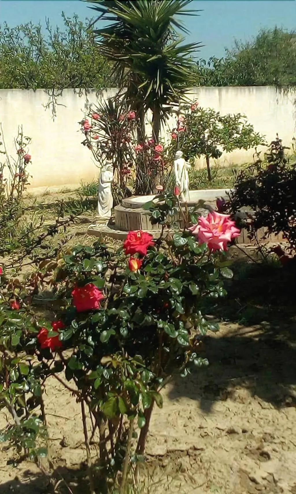 General view, Villa Rosa Maria, Catania