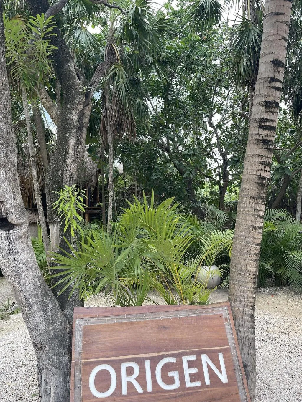 General view, Origen Tulum, Cancun Area