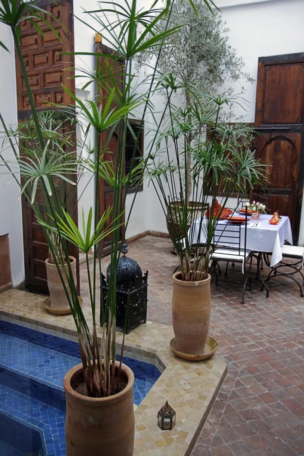 Lobby, Riad Elixir, Marrakech
