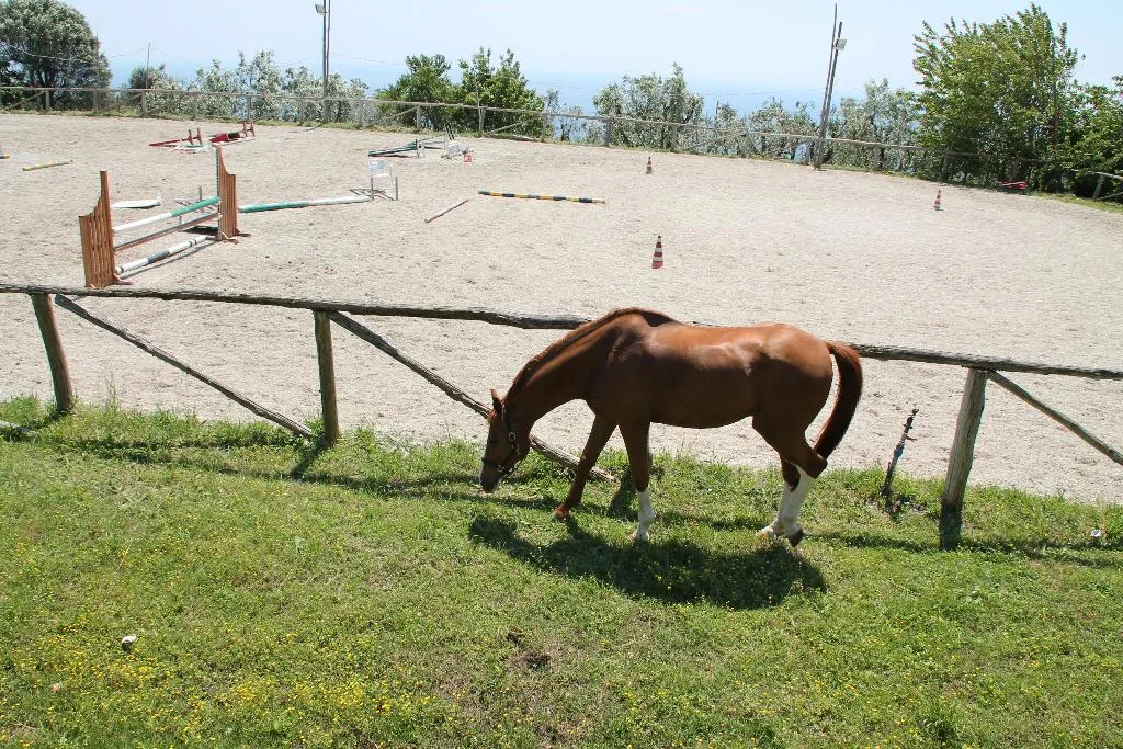 Sports and Entertainment, Agriturismo Piccolo Paradiso, Naples
