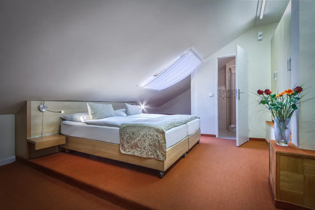 DOUBLE ECONOMY Room, Taurus, Prague