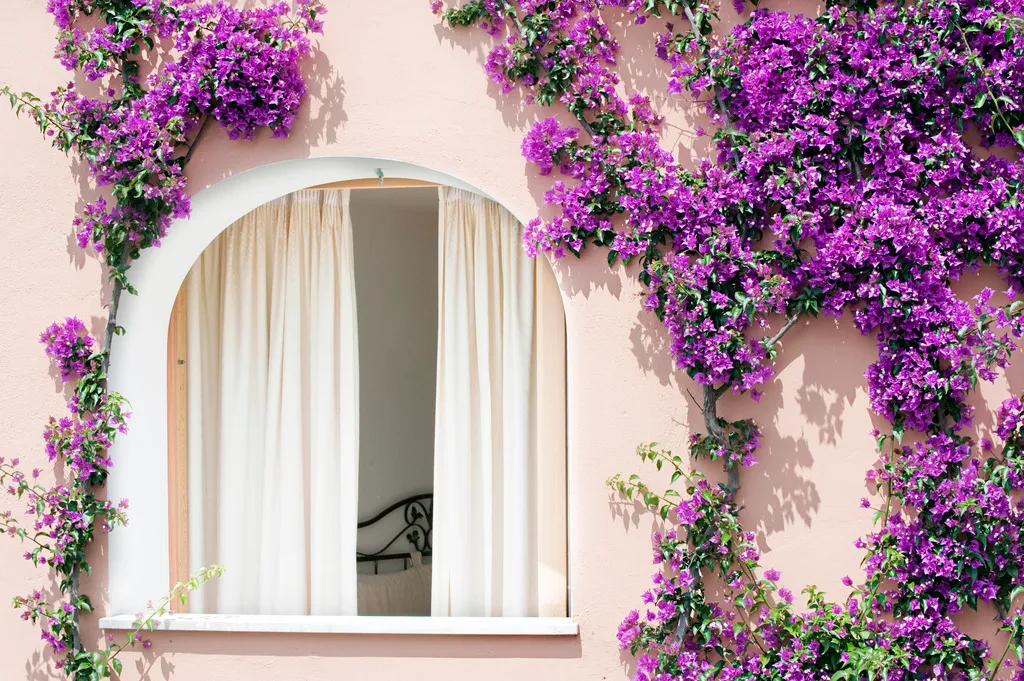 Double or Twin STANDARD Room, Hotel Conca D'Oro, Naples