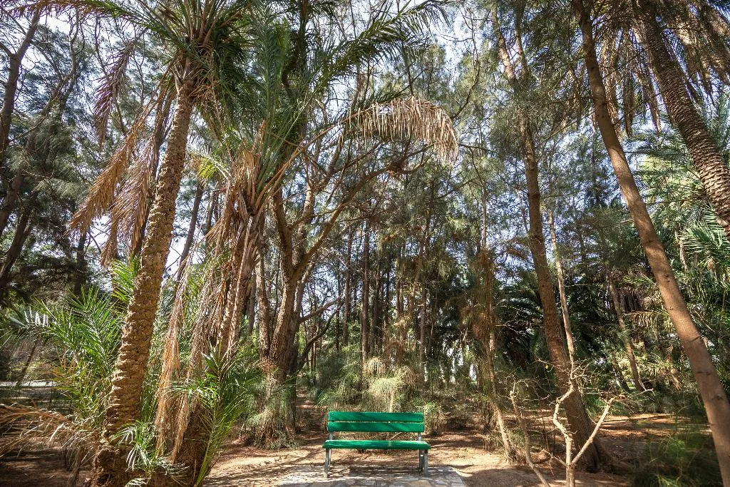 General view, Marhaba Salem, Tunisia