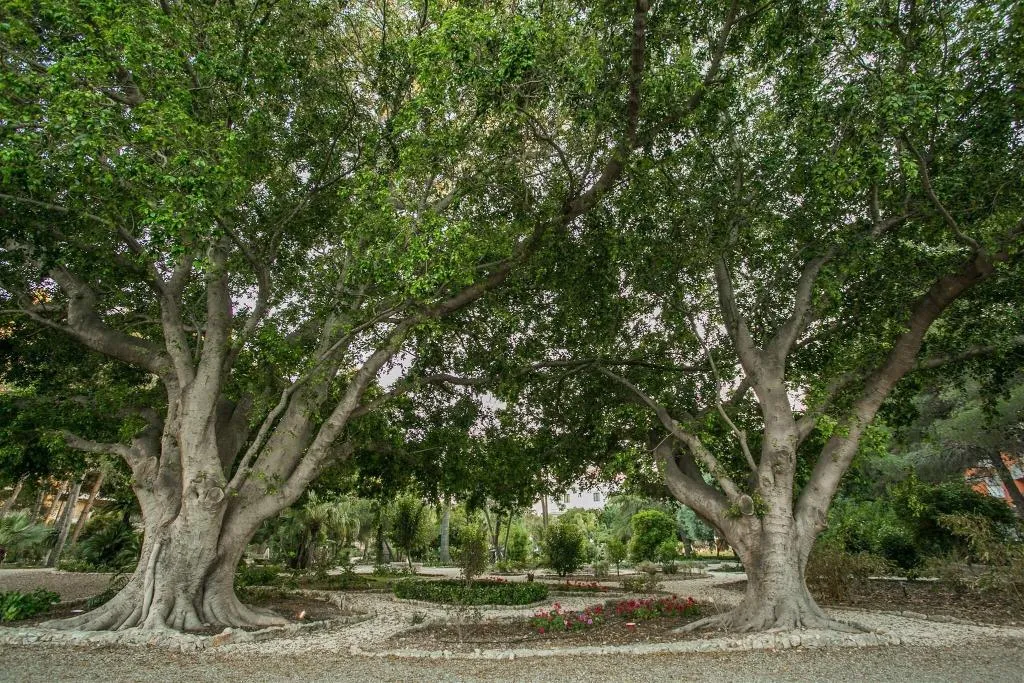 General view, Parco Delle Fontane, Catania