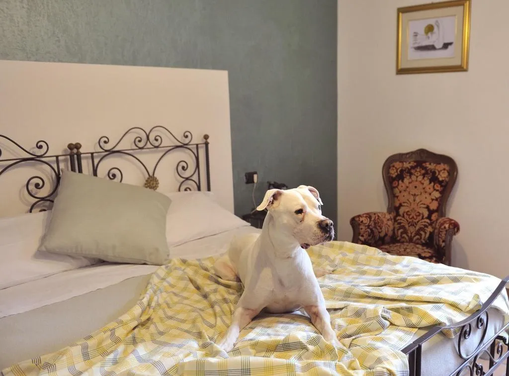 Room, Hotel San Marco, Umbria