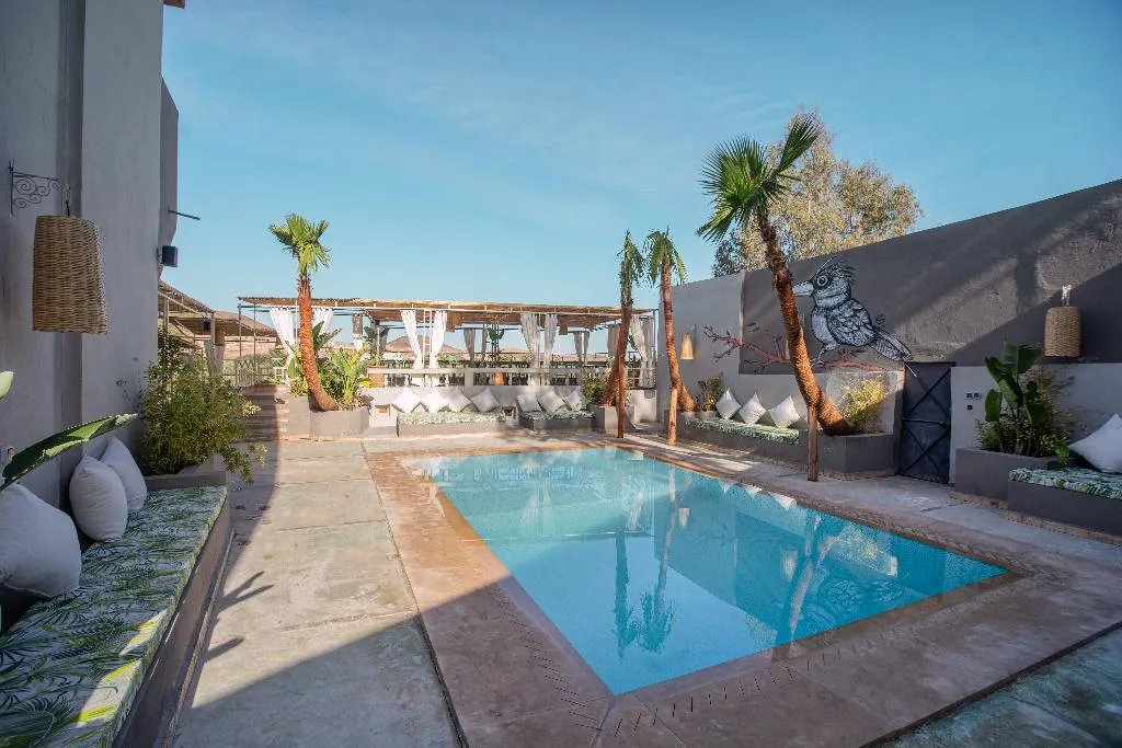Pool, Piccolo Bike Hotel, Marrakech