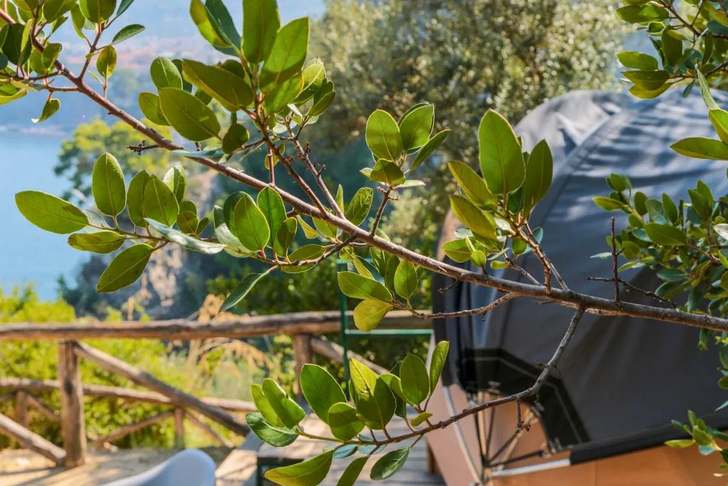 Tent ONE BED Room, Hostel & Glamping Santa Fortunata, Naples