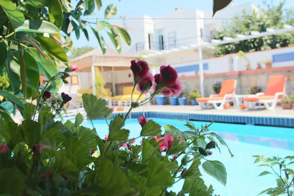 Sports and Entertainment, Oya Boutique Hotel & Suites, Bodrum