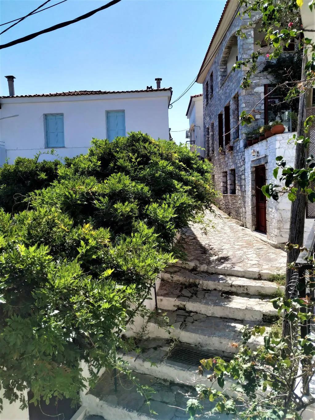 Double or Twin STANDARD Room, Argo, Skiathos