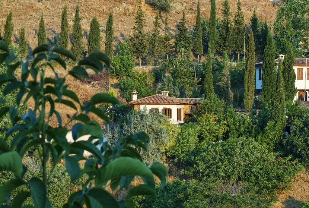 General view, Terrace Houses Sirince - Fig, Olive and Grapevine, Izmir