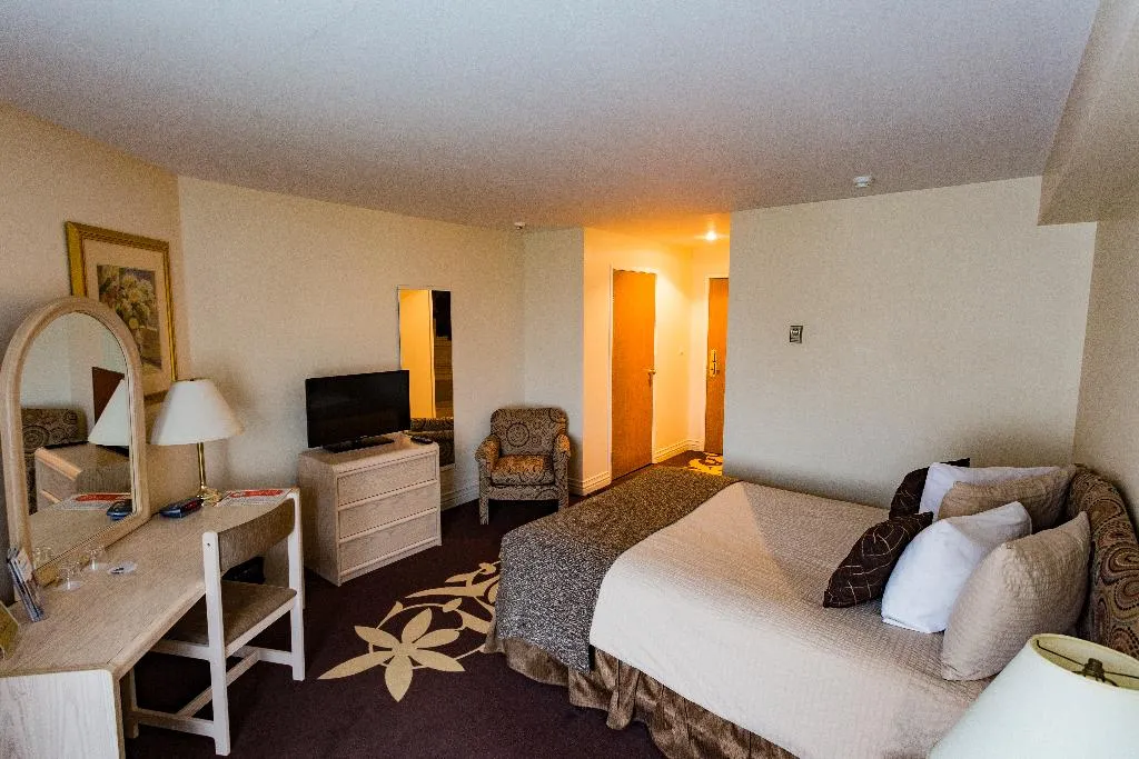 DOUBLE SINGLE USE STANDARD Room, Airport Hotel Mara, Riga