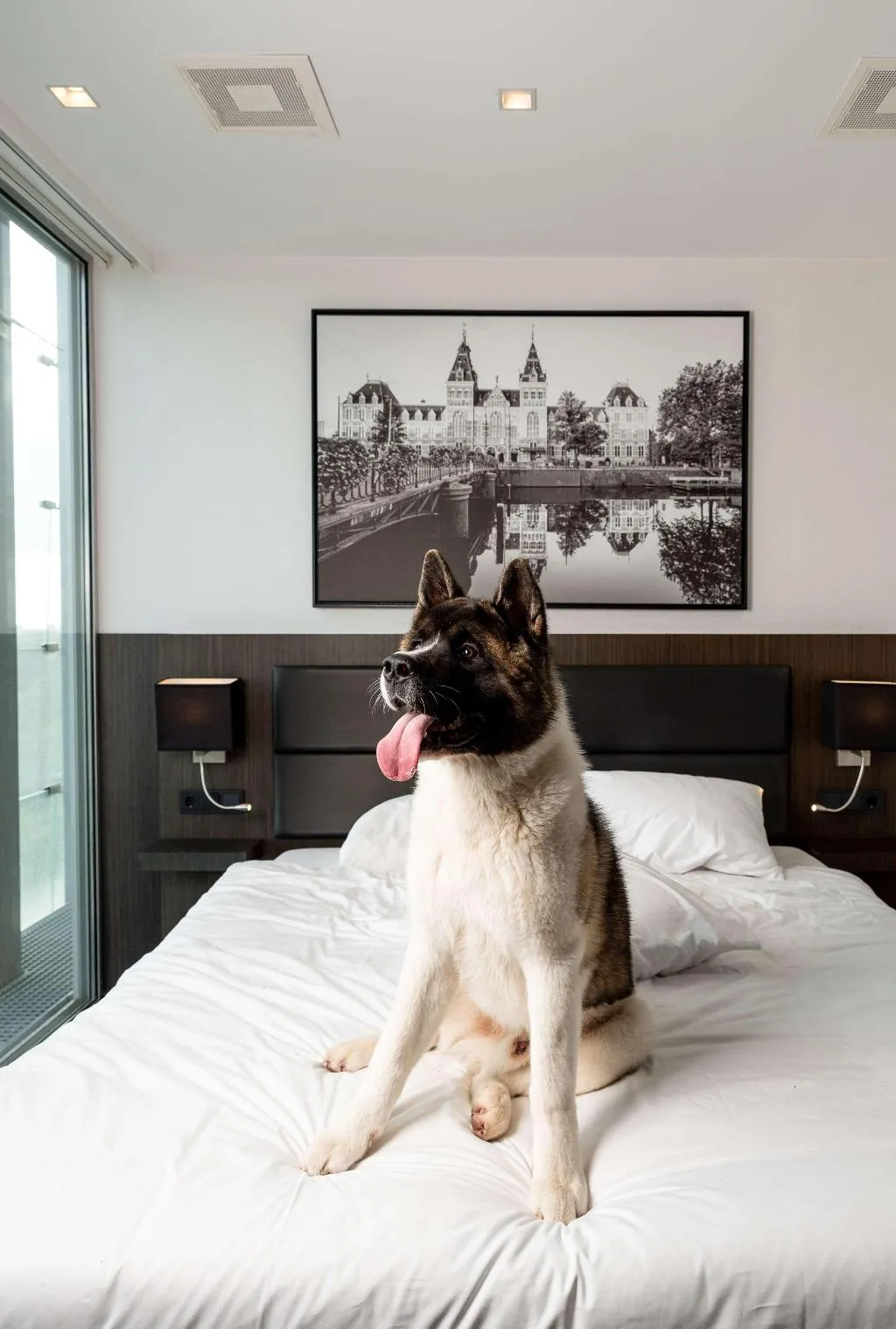 Room, Radisson Hotel & Suites Amsterdam South, Amsterdam