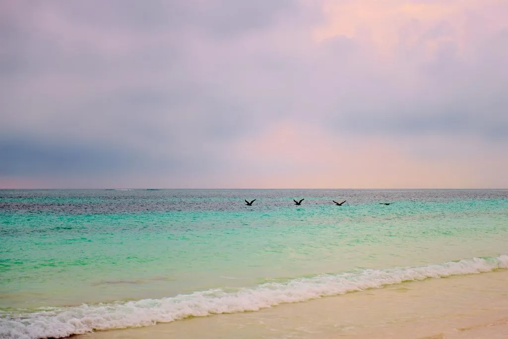Beach, Mukan Resort, Cancun Area