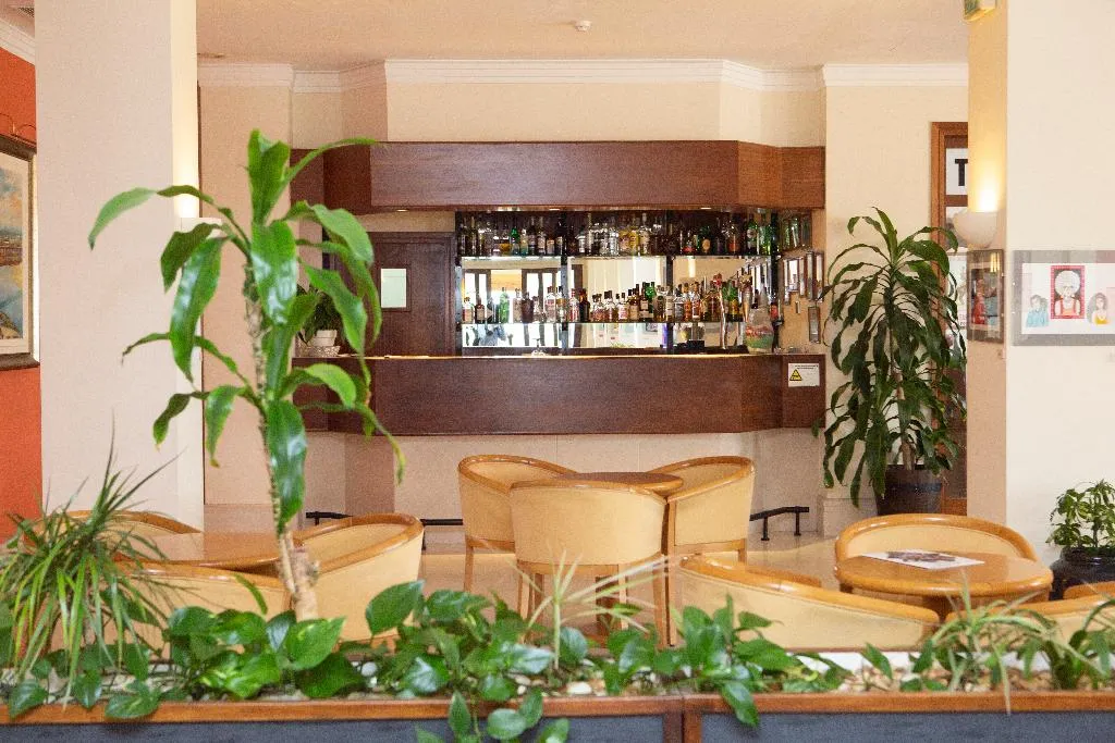 Bar, Verdi Santarem, Lisbon