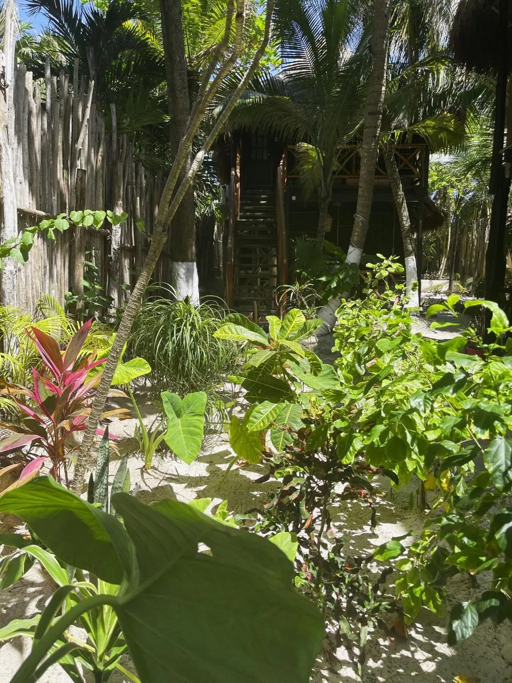 General view, Sivana Tulum, Cancun Area