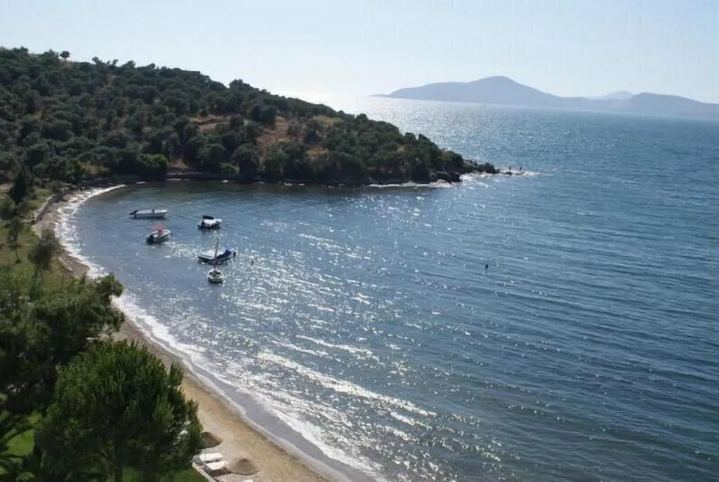 Beach, Med-Inn Boutique Hotel, Bodrum
