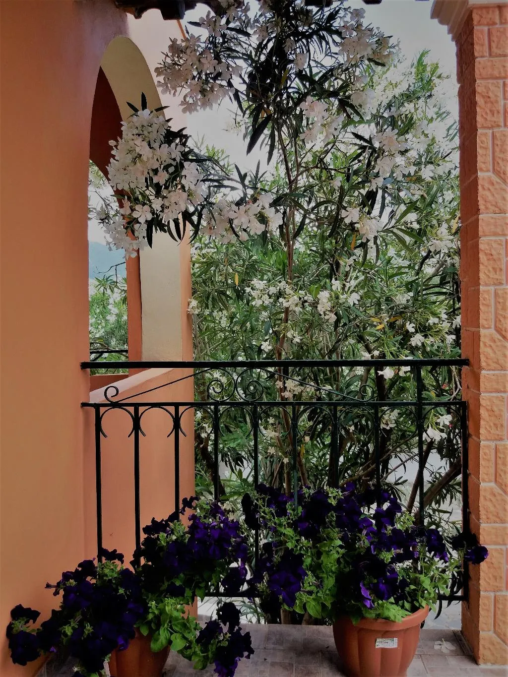 General view, Ziogas Luxury Apartment's, Corfu