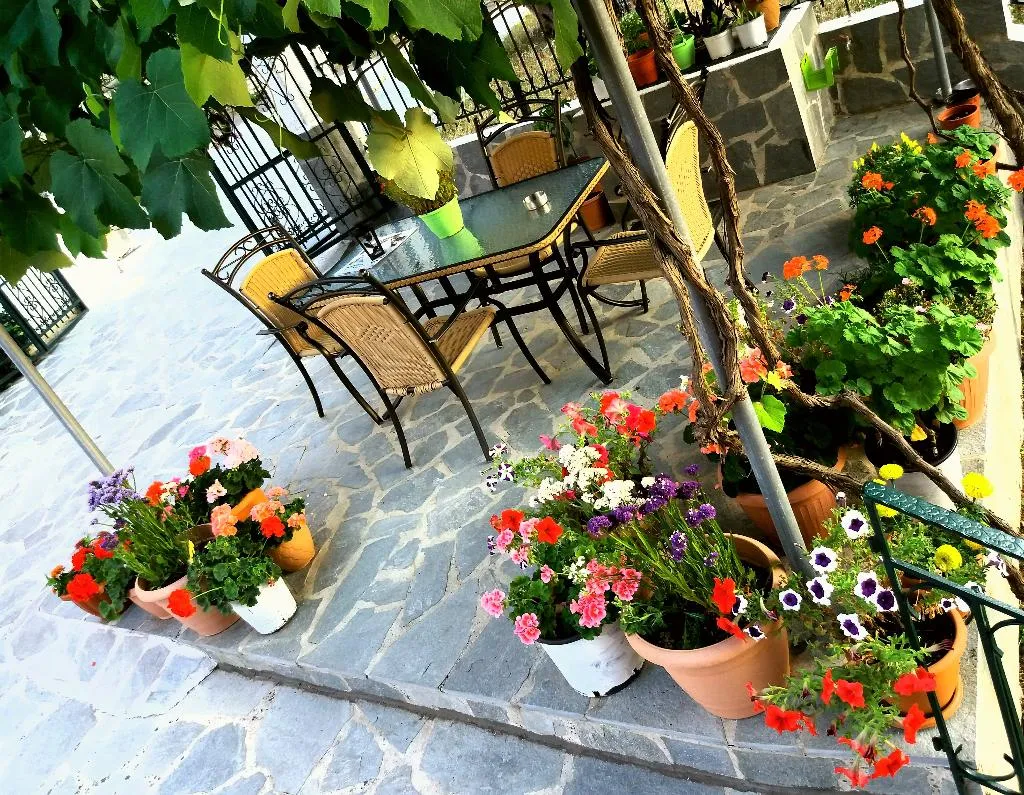 Terrace, Ziogas Luxury Apartment's, Corfu