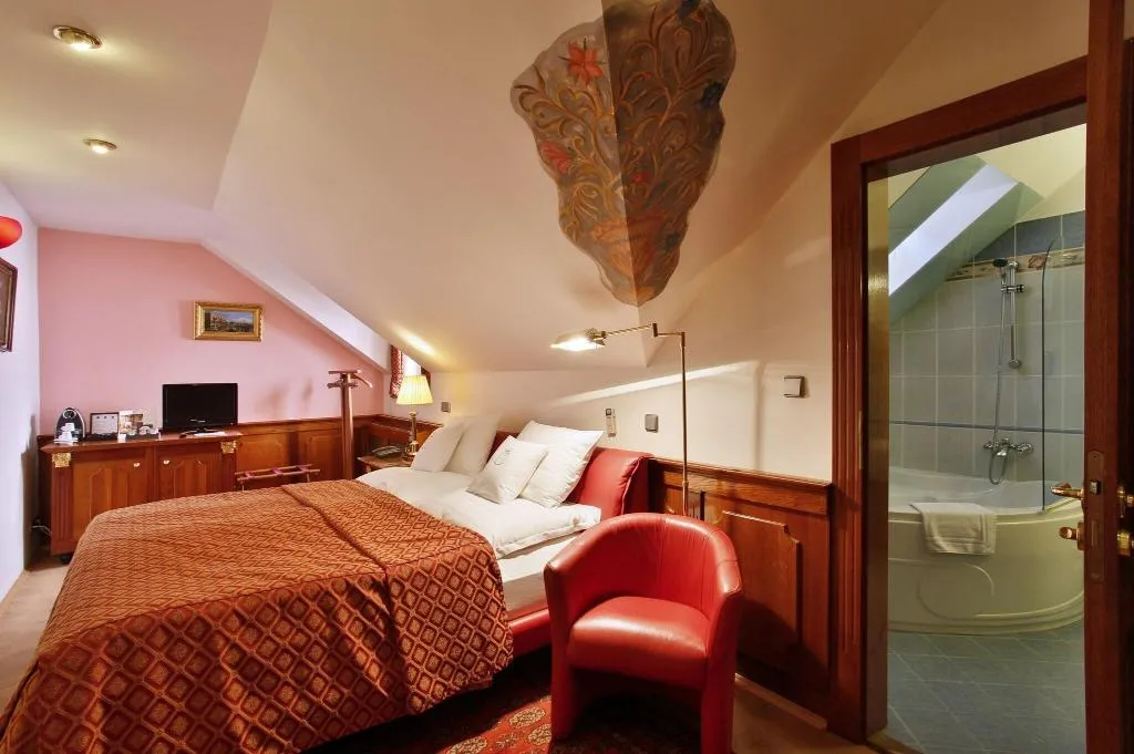 Room, U Pava, Prague
