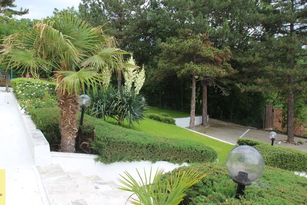 Terrace, Zora, Bourgas