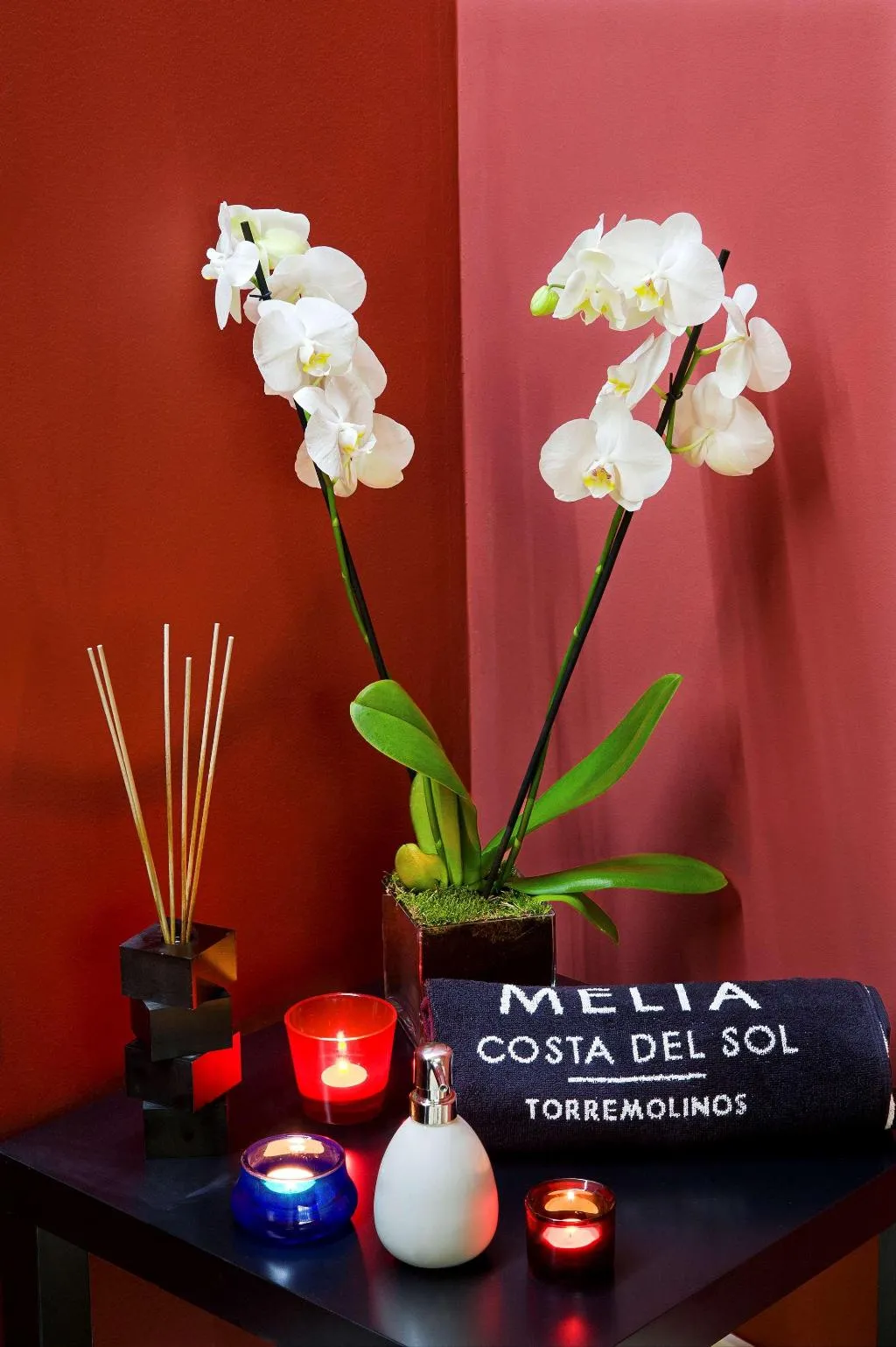 Sports and Entertainment, Melia Costa del Sol, Costa Del Sol