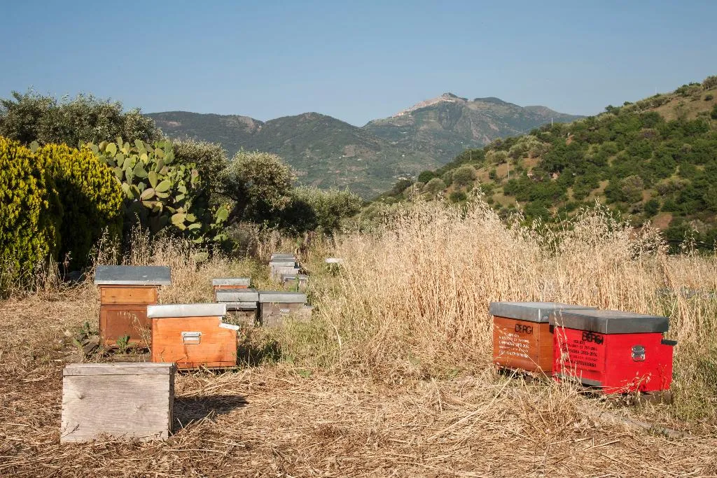 General view, Azienda Agrituristica Bergi, Palermo
