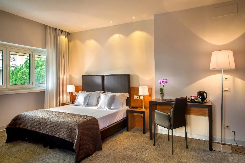 DOUBLE SINGLE USE STANDARD Room, Hotel San Paolo Roma, Rome