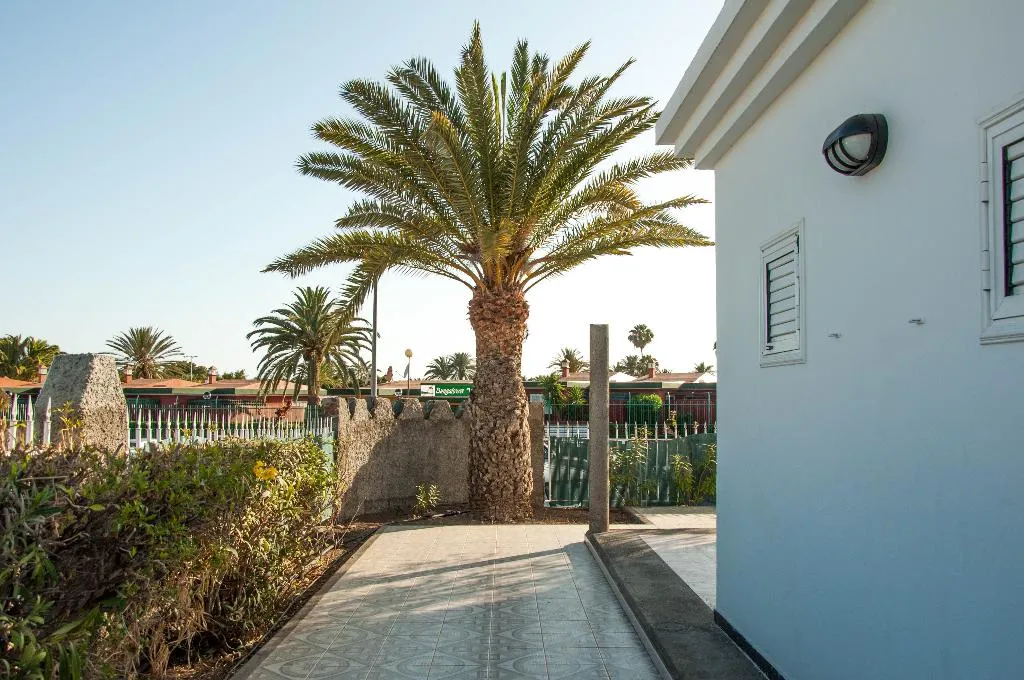 General view, Bungalows las Almenas, Gran Canaria