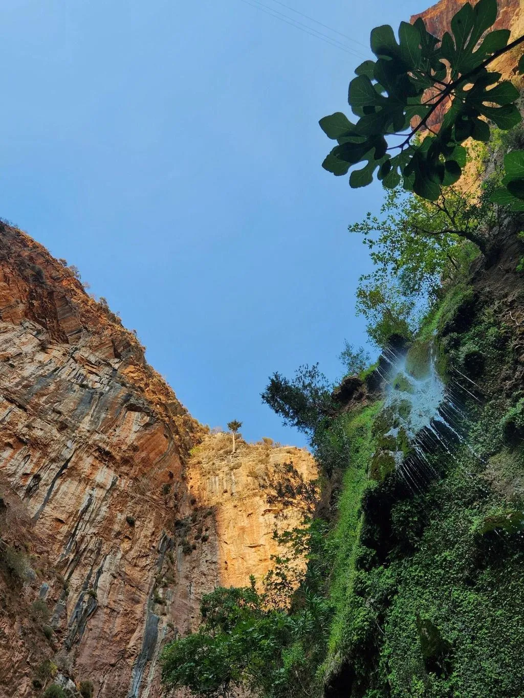 General view, Butterfly Valley Bungalov, Dalaman