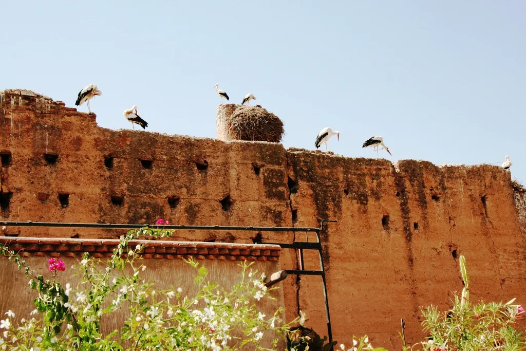General view, Riad Carina, Marrakech