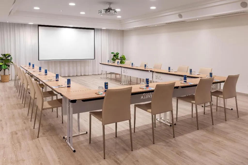 Conferences, Melia Sevilla, Seville