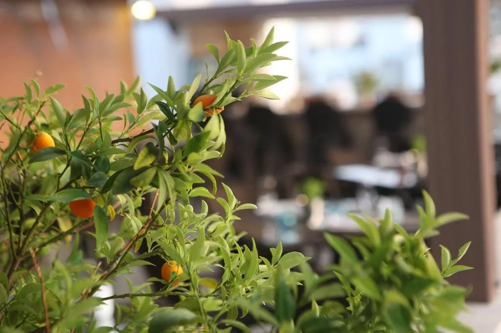Restaurant, 7 Art Feslegen Hotel, Bodrum