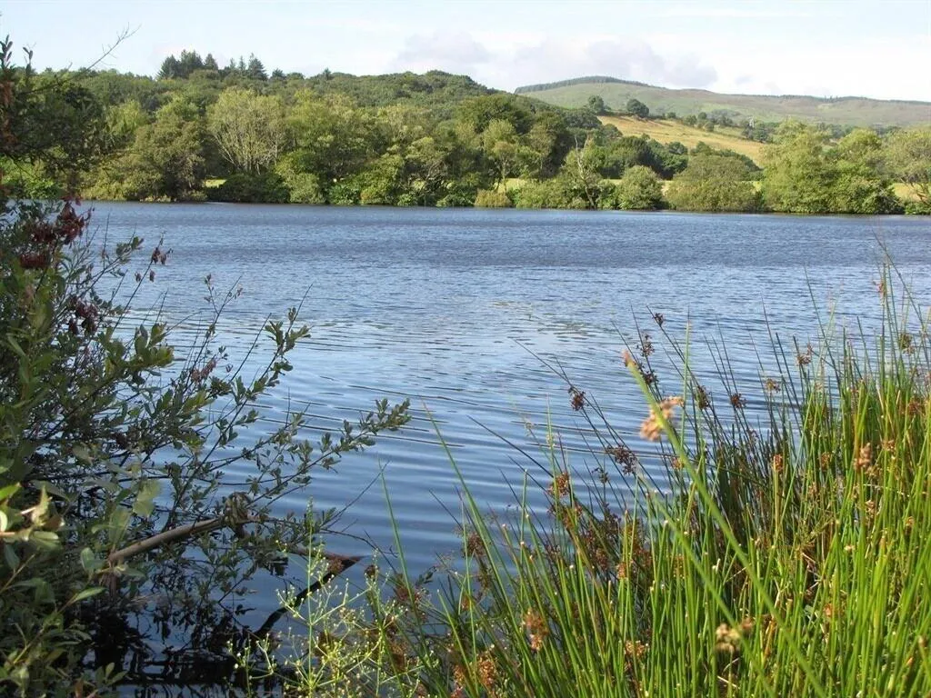 General view, Lake House B&B, Cork