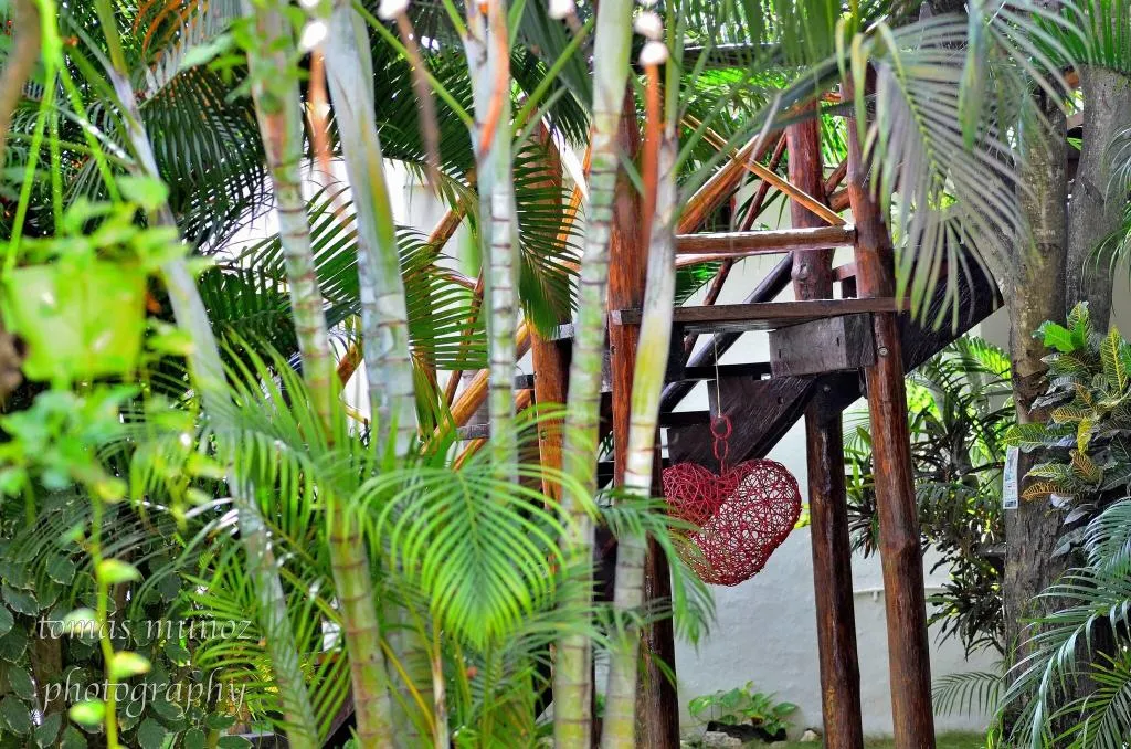 General view, Pacha Tulum Boutique Hotel, Cancun Area