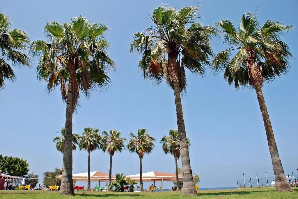 General view, Selinus Beach Club Hotel, Antalya