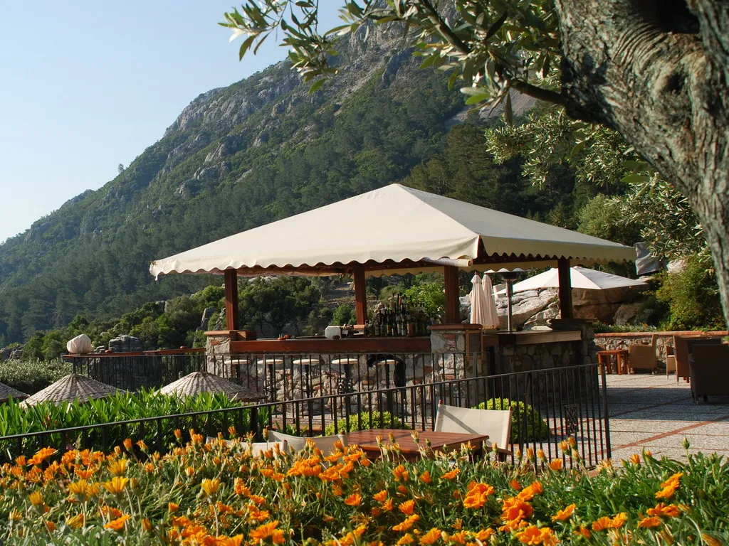 Bar, Dionysos, Dalaman