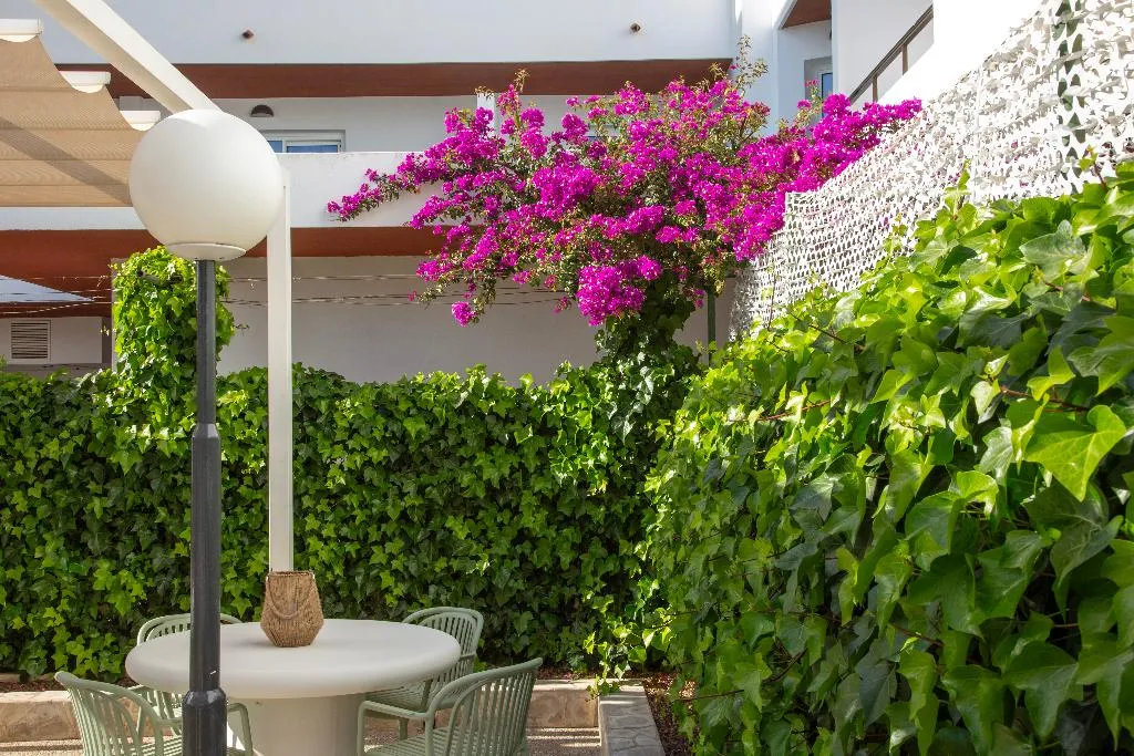 Terrace, Casual Bahia Ibiza, Ibiza