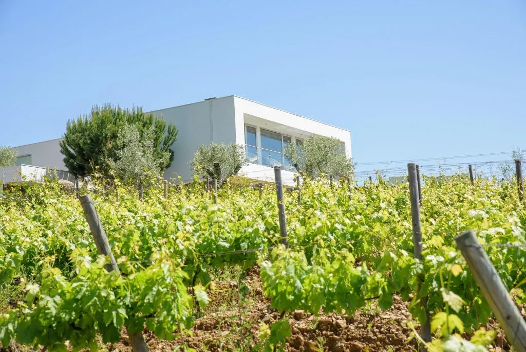 General view, Quinta Do Bosque, Porto