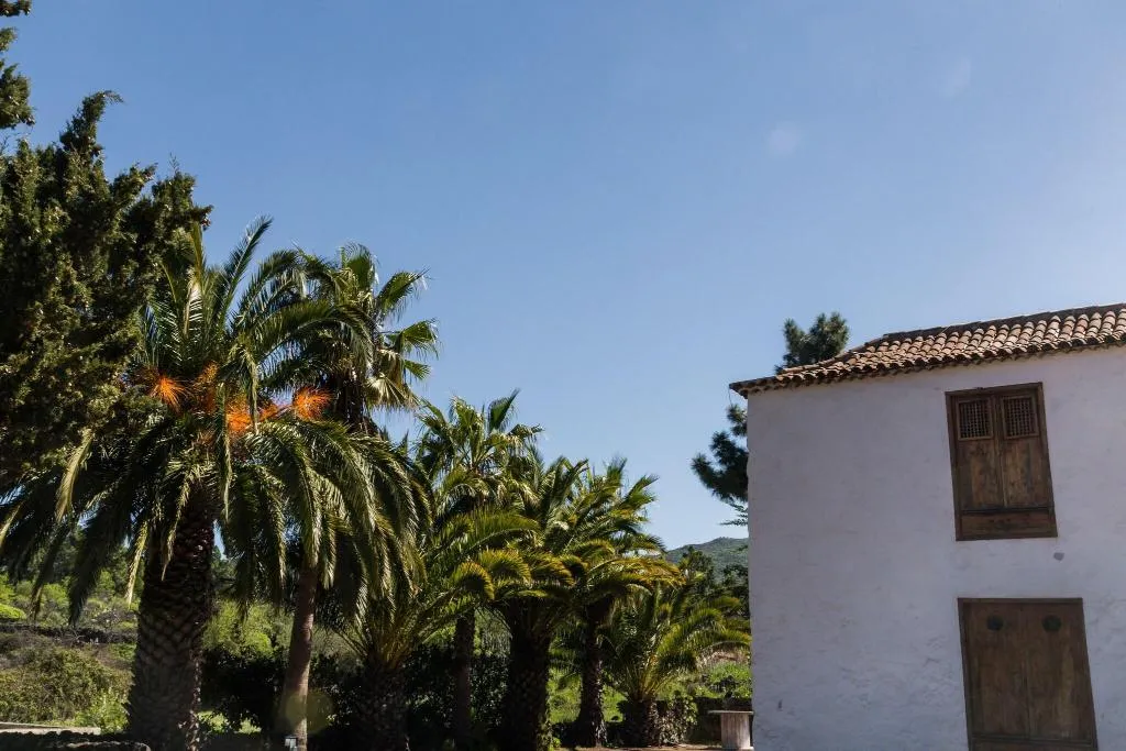 General view, La Casona Del Patio, Tenerife