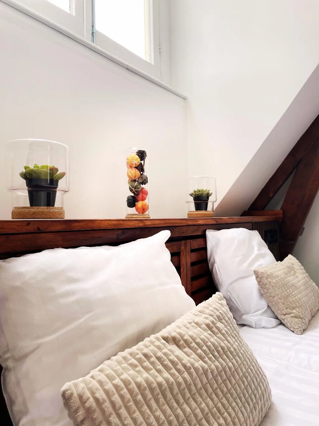 TWIN BASIC Room, Hotel Plantage, Amsterdam